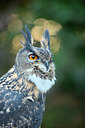 BUITEN BEELD Foto: 264657