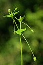 BUITEN BEELD Foto: 264659