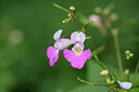 BUITEN BEELD Foto: 264663