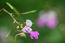 BUITEN BEELD Foto: 264664