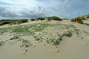 BUITEN BEELD Foto: 264671
