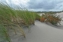 BUITEN BEELD Foto: 264672