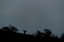 BUITEN BEELD Foto: 264726