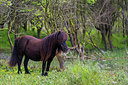BUITEN BEELD Foto: 264757