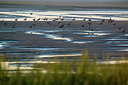 BUITEN BEELD Foto: 264951