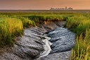 BUITEN BEELD Foto: 264964