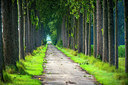 BUITEN BEELD Foto: 265015