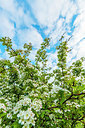 BUITEN BEELD Foto: 265058