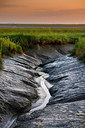 BUITEN BEELD Foto: 265091