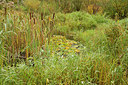 BUITEN BEELD Foto: 265112