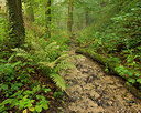 BUITEN BEELD Foto: 265154