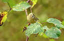 BUITEN BEELD Foto: 265159