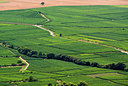 BUITEN BEELD Foto: 265171