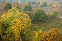 BUITEN BEELD Foto: 265183