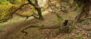 BUITEN BEELD Foto: 265189