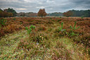 BUITEN BEELD Foto: 265194