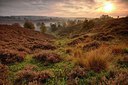 BUITEN BEELD Foto: 265196