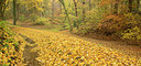 BUITEN BEELD Foto: 265202