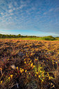 BUITEN BEELD Foto: 265235