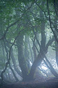 BUITEN BEELD Foto: 265289