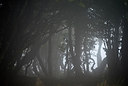 BUITEN BEELD Foto: 265306