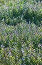 BUITEN BEELD Foto: 265438