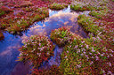 BUITEN BEELD Foto: 265440