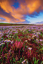BUITEN BEELD Foto: 265469