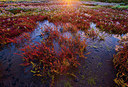 BUITEN BEELD Foto: 265491
