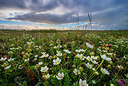 BUITEN BEELD Foto: 265493