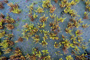 BUITEN BEELD Foto: 265499
