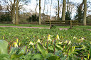 BUITEN BEELD Foto: 265570