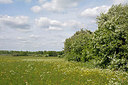BUITEN BEELD Foto: 265601