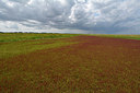BUITEN BEELD Foto: 265634
