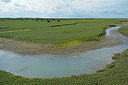 BUITEN BEELD Foto: 265635
