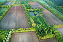 BUITEN BEELD Foto: 265711