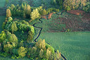 BUITEN BEELD Foto: 265764