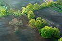 BUITEN BEELD Foto: 265788