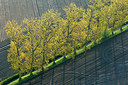 BUITEN BEELD Foto: 265794