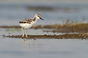 BUITEN BEELD Foto: 265810