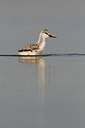 BUITEN BEELD Foto: 265811