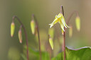 BUITEN BEELD Foto: 265882