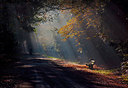 BUITEN BEELD Foto: 265954