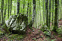 BUITEN BEELD Foto: 265966