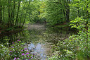 BUITEN BEELD Foto: 265976