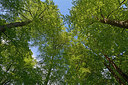 BUITEN BEELD Foto: 265980