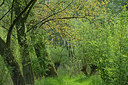 BUITEN BEELD Foto: 265983