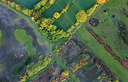 BUITEN BEELD Foto: 266001