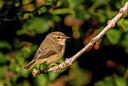BUITEN BEELD Foto: 266023