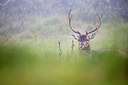 BUITEN BEELD Foto: 266090